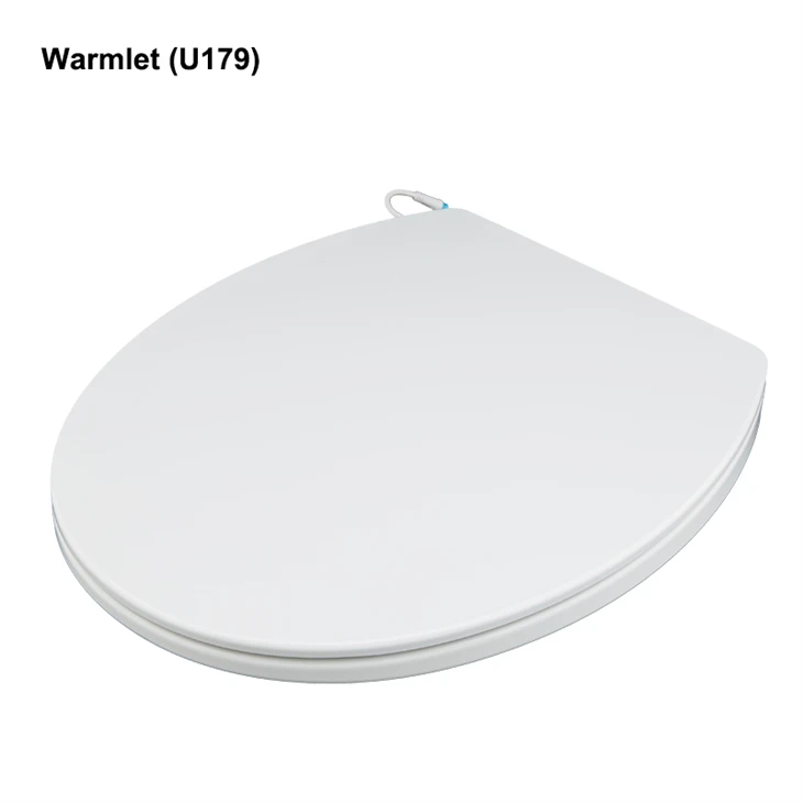 heated-toilet-seat